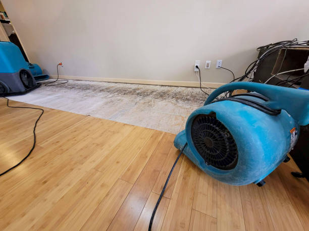 Professional Basement Flood Cleanup technician working in Sagamore Beach, MA